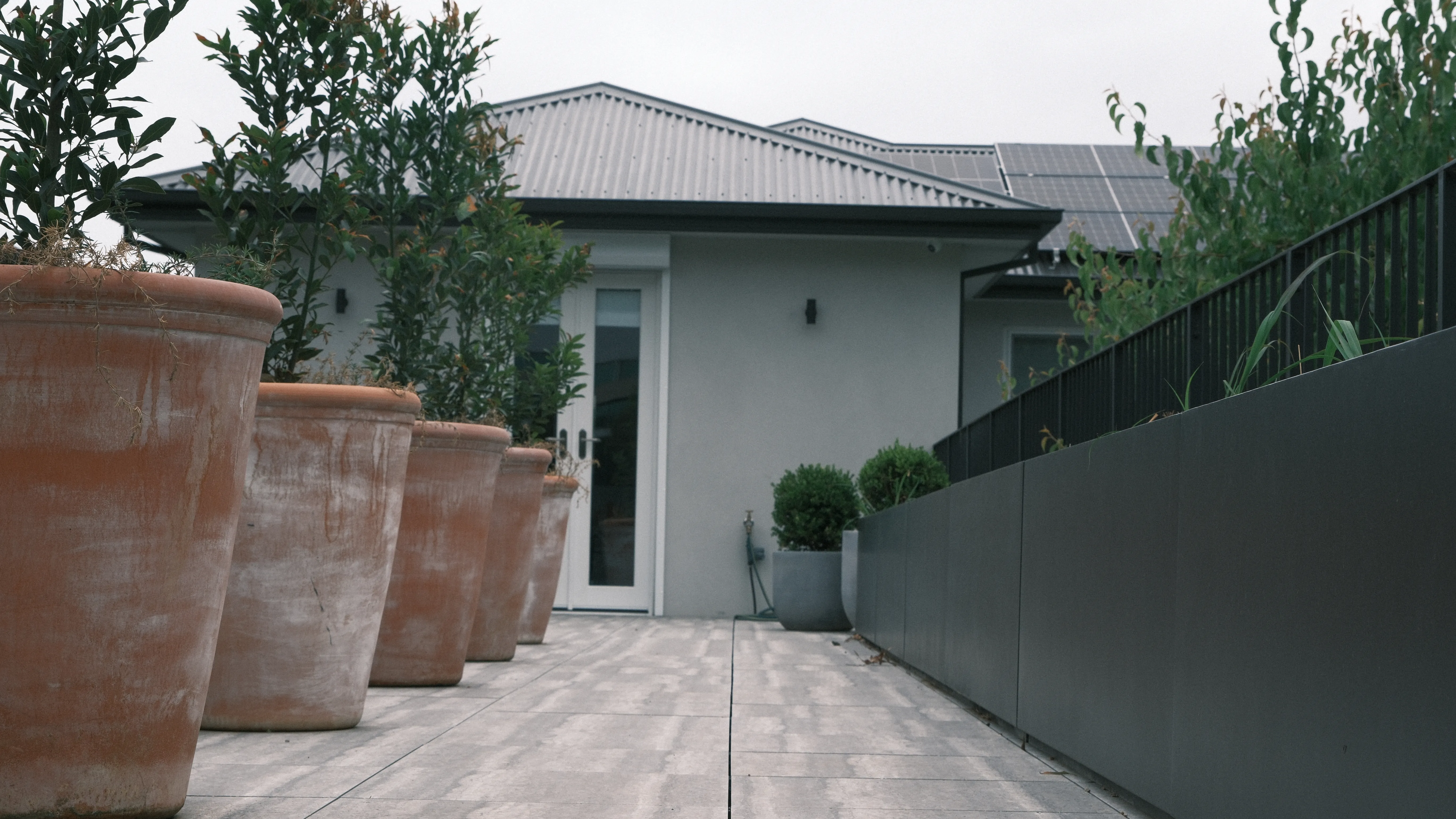 Customized clay POTS